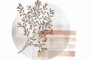 热点观察《暗网》数字毒品案例复盘